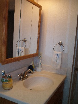 silver_and_gold bathrooms 011.JPG